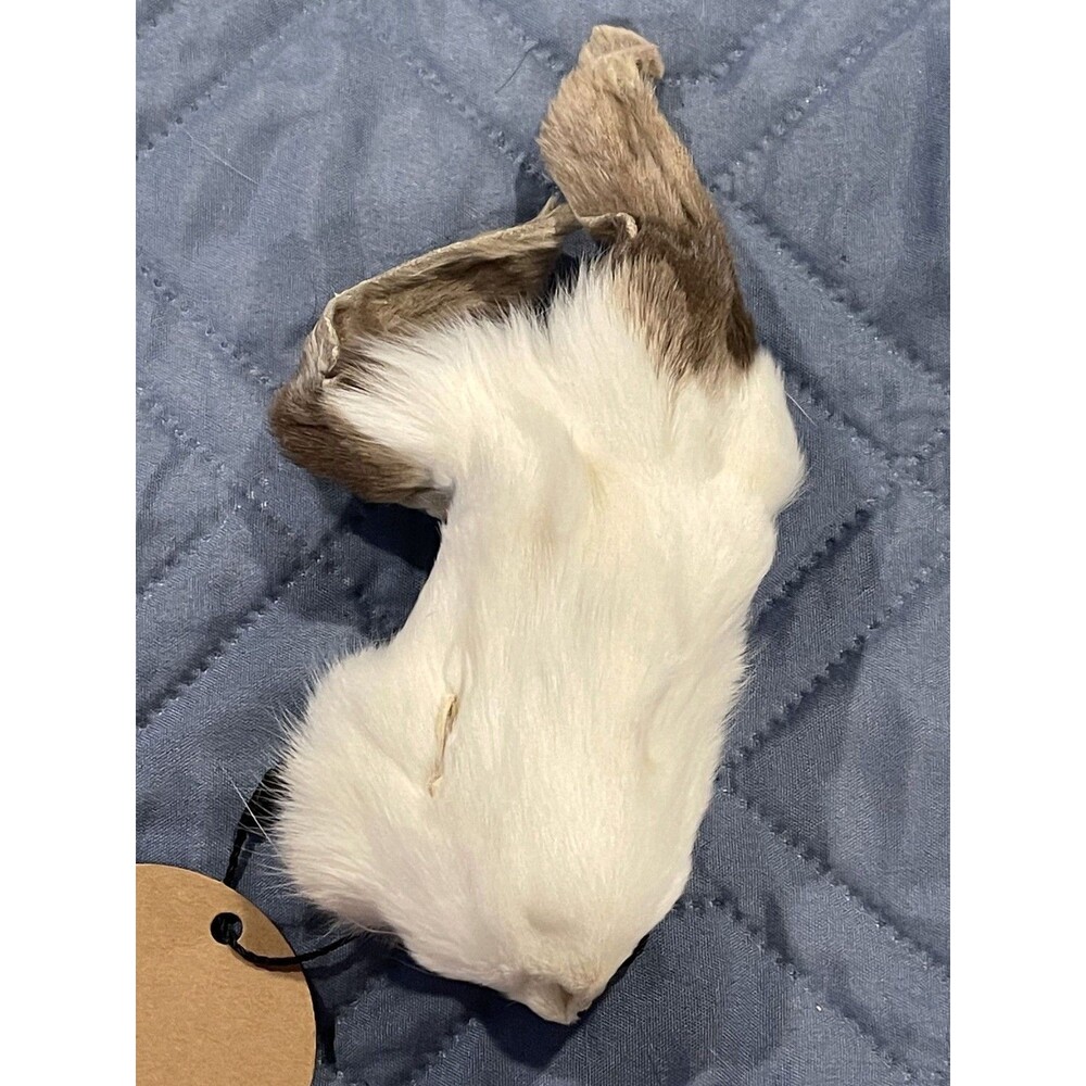 Genuine Rabbit Face Pelt White Brown Real Fur Taxidermy Oddities Curios Craft